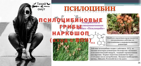 первитин Россошь
