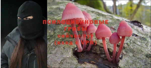 ешки Ростов