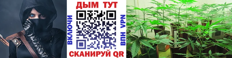 Каннабис VHQ  Купить где  Сретенск 